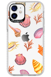 Sea Shells - Apple iPhone 12