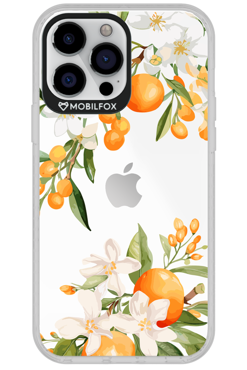 Amalfi Orange - Apple iPhone 13 Pro Max