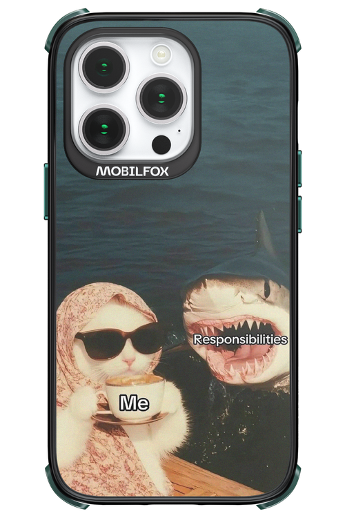 Responsibilities - Apple iPhone 14 Pro