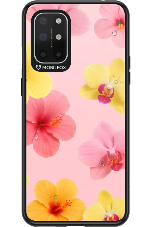Sunset Flowers - OnePlus 8T