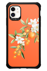 Amalfi Oranges - Apple iPhone 11