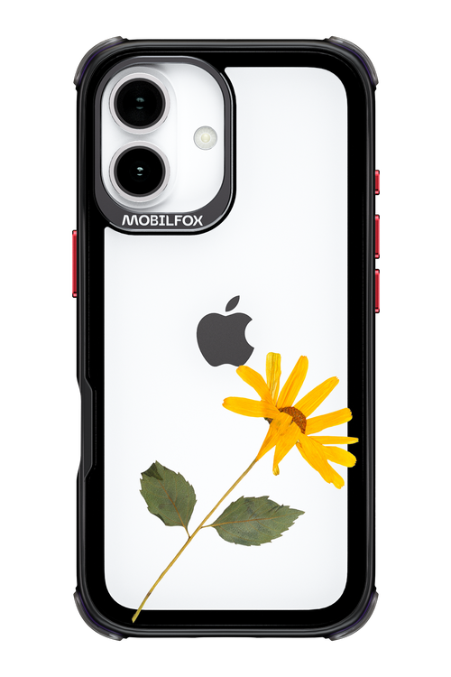 Pressed Flower - Apple iPhone 17
