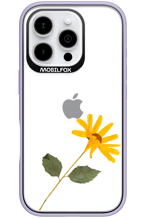 Pressed Flower - Apple iPhone 16 Pro