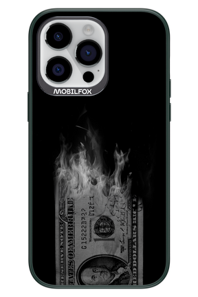 Money Burn B&W - Apple iPhone 14 Pro Max