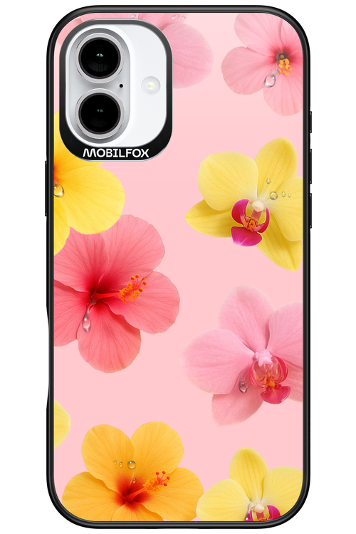 Sunset Flowers - Apple iPhone 16 Plus