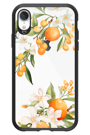 Amalfi Orange - Apple iPhone XR