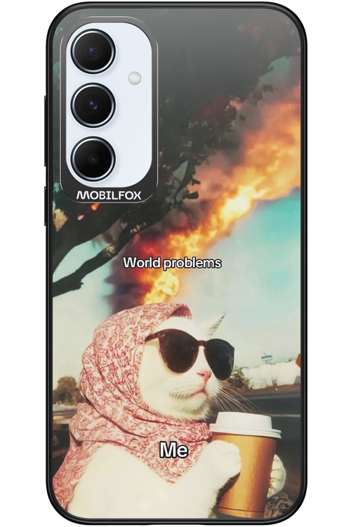 World Problems - Samsung Galaxy A55