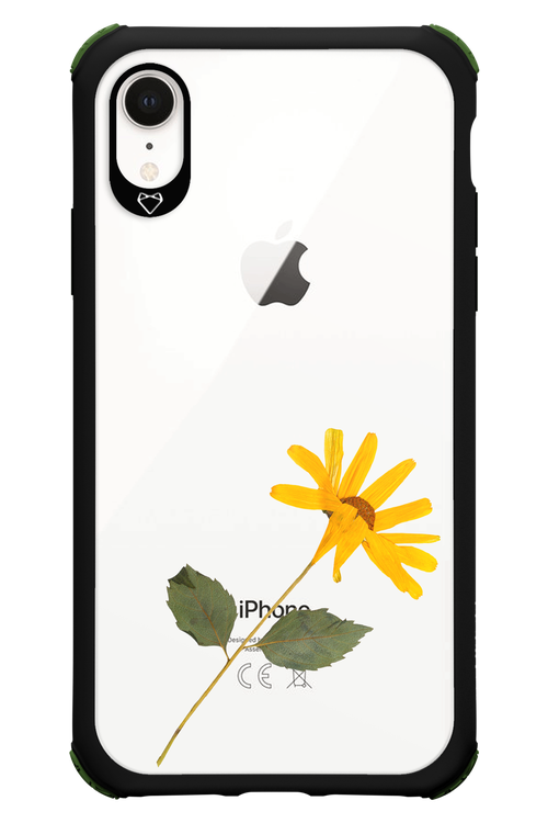 Pressed Flower - Apple iPhone XR