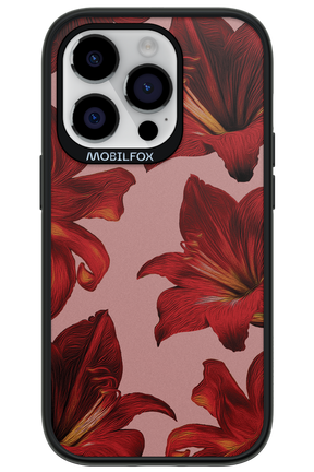 Amaryllis Mist - Apple iPhone 14 Pro