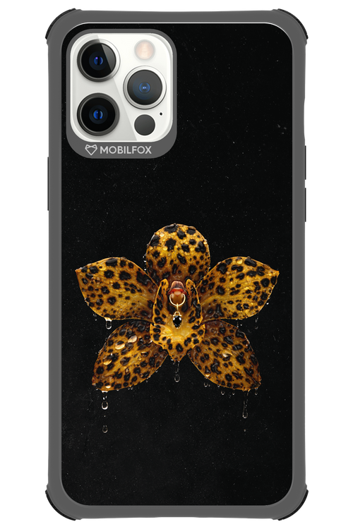 Wet & Wild 2.0 - Apple iPhone 12 Pro Max