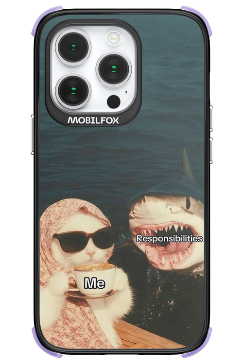 Responsibilities - Apple iPhone 14 Pro