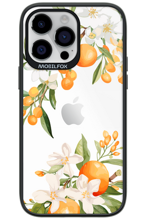 Amalfi Orange - Apple iPhone 14 Pro Max