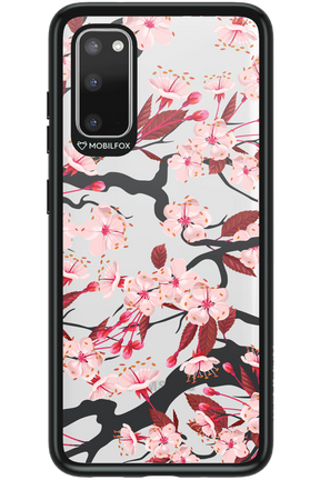Sakura 2.0 - Samsung Galaxy S20