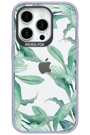 Greenpeace - Apple iPhone 15 Pro