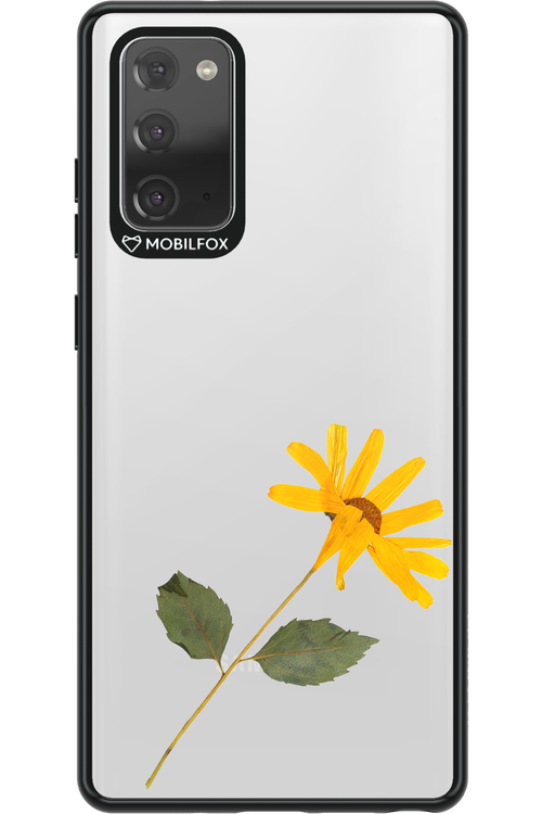 Pressed Flower - Samsung Galaxy Note 20