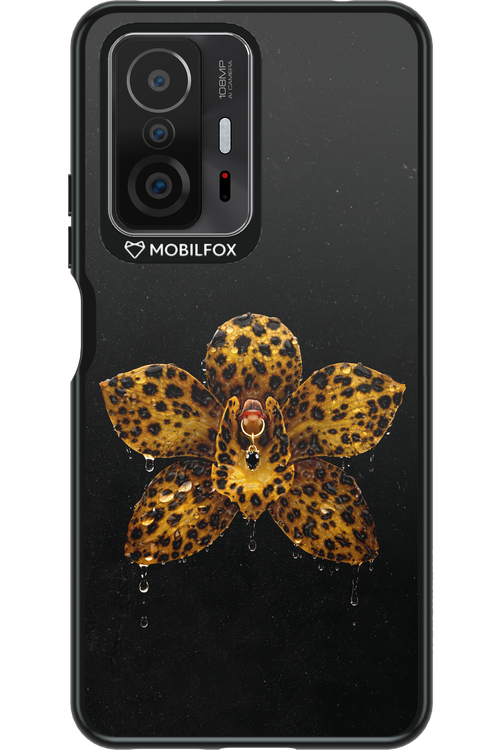 Wet & Wild 2.0 - Xiaomi Mi 11T