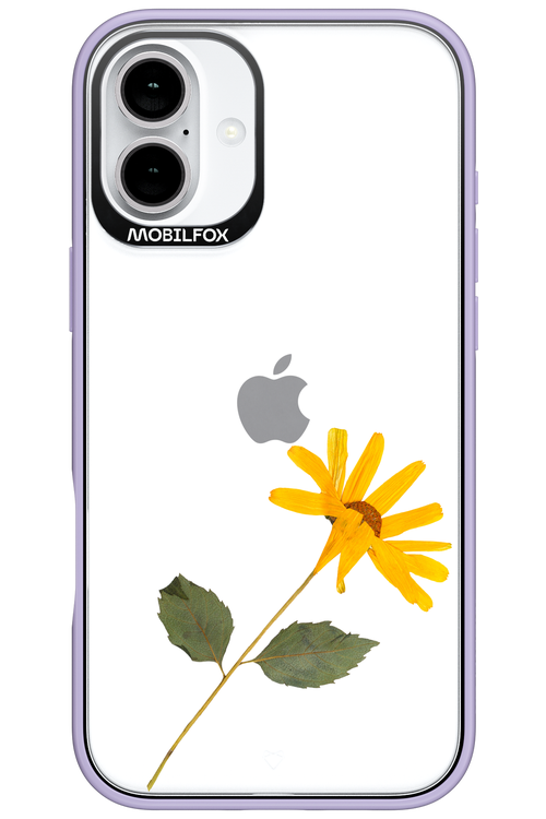 Pressed Flower - Apple iPhone 16 Plus