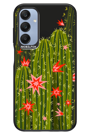 Cactus bloom 2.0 - Samsung A25