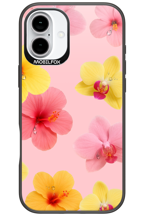 Sunset Flowers - Apple iPhone 16 Plus