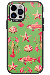 Sea Stars - Apple iPhone 12 Pro