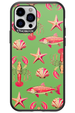 Sea Stars - Apple iPhone 12 Pro