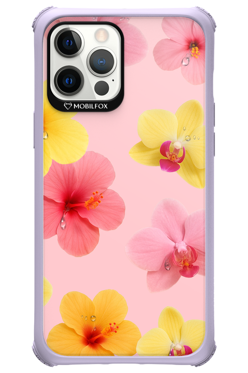 Sunset Flowers - Apple iPhone 12 Pro Max