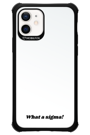 Sigma Vibe - Apple iPhone 12