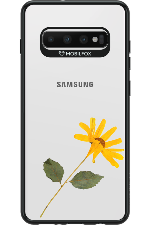 Pressed Flower - Samsung Galaxy S10+