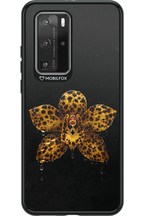 Wet & Wild 2.0 - Huawei P40 Pro