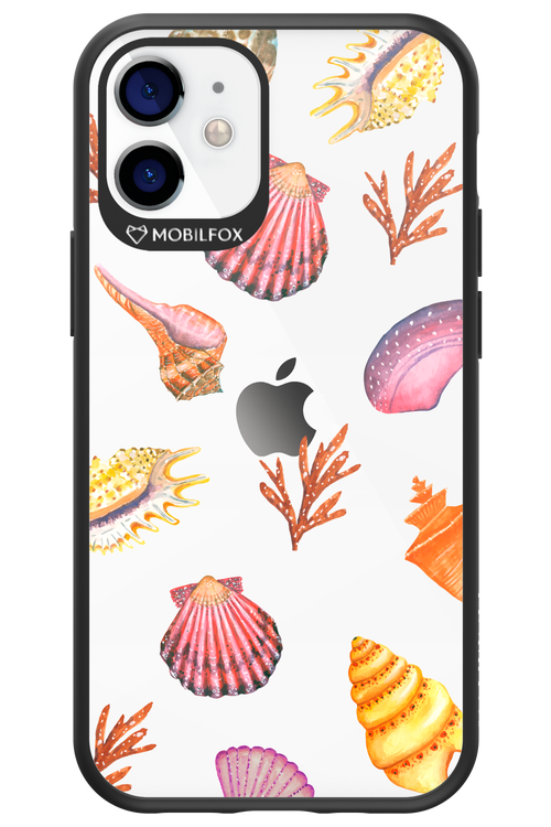 Sea Shells - Apple iPhone 12 Mini