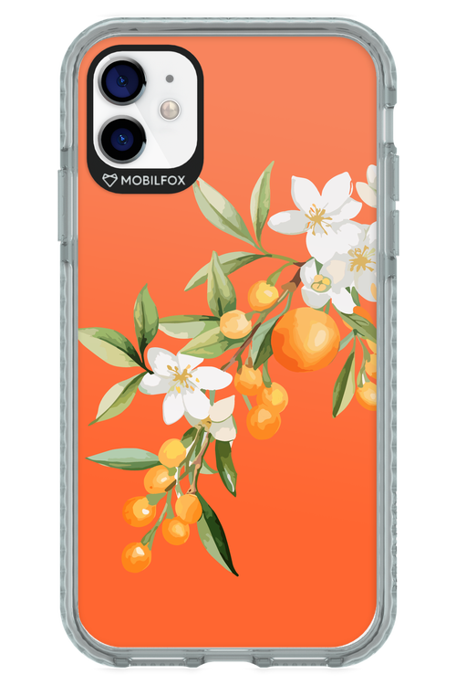 Amalfi Oranges - Apple iPhone 11