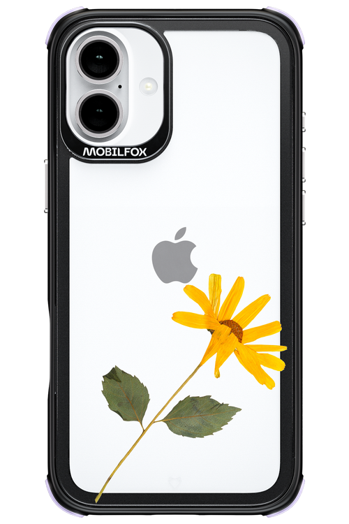Pressed Flower - Apple iPhone 16 Plus