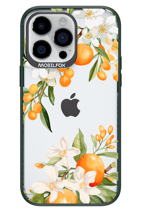 Amalfi Orange - Apple iPhone 14 Pro Max