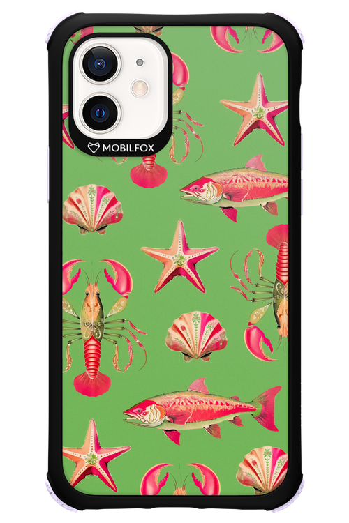 Sea Stars - Apple iPhone 12
