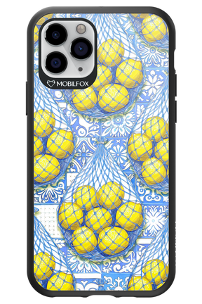 Net Style - Apple iPhone 11 Pro