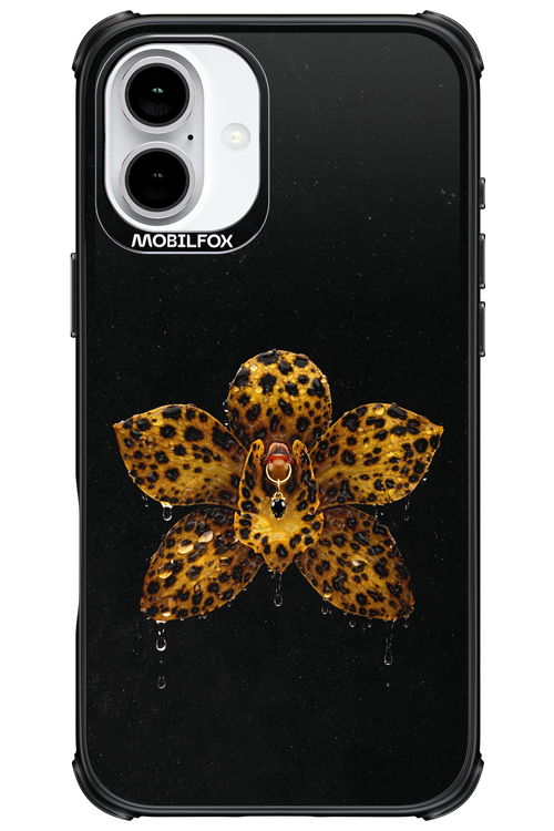 Wet & Wild 2.0 - Apple iPhone 16 Plus