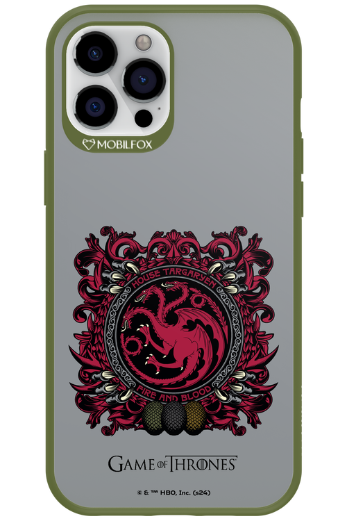 Fire and Blood. - Apple iPhone 12 Pro Max