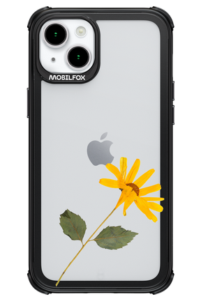 Pressed Flower - Apple iPhone 15 Plus