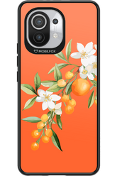 Amalfi Oranges - Xiaomi Mi 11 5G