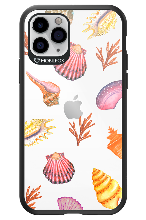 Sea Shells - Apple iPhone 11 Pro