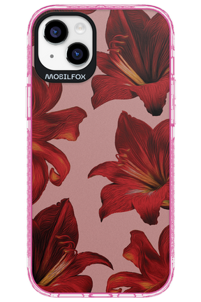 Amaryllis Mist - Apple iPhone 14 Plus
