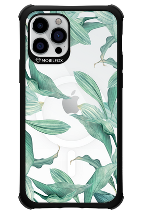 Greenpeace - Apple iPhone 12 Pro