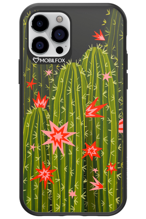 Cactus bloom 2.0 - Apple iPhone 12 Pro