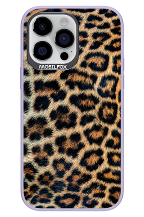 Leopard - Apple iPhone 14 Pro Max