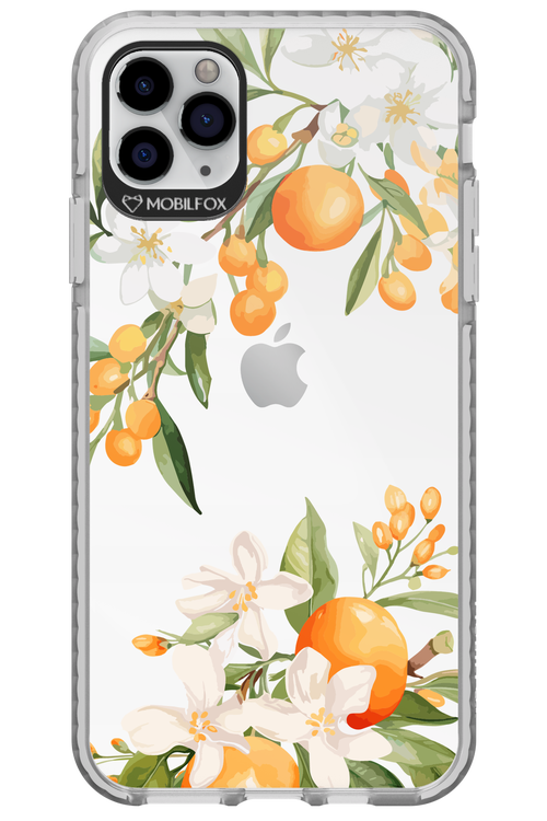 Amalfi Orange - Apple iPhone 11 Pro Max